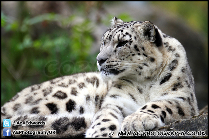 Marwell_Zoo_100912_AE_013.jpg