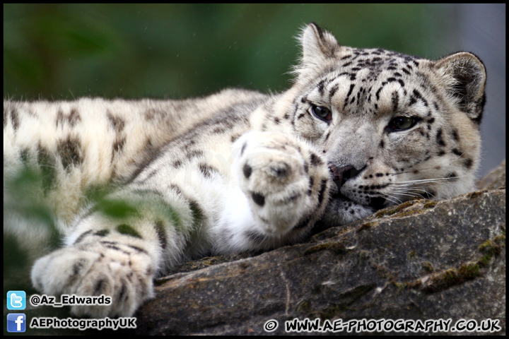 Marwell_Zoo_100912_AE_014.jpg
