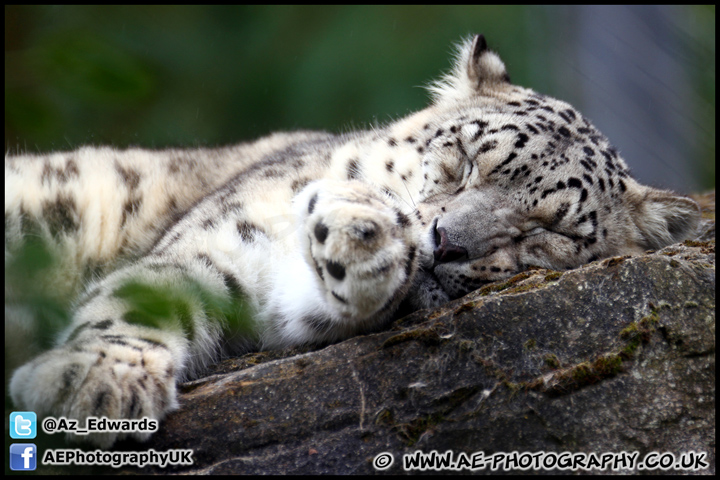 Marwell_Zoo_100912_AE_015.jpg