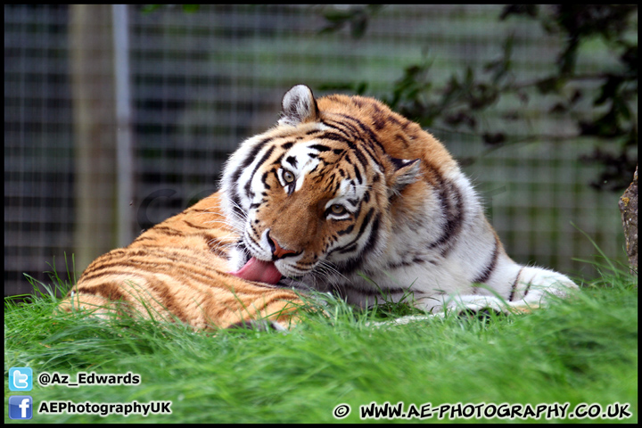 Marwell_Zoo_100912_AE_030.jpg