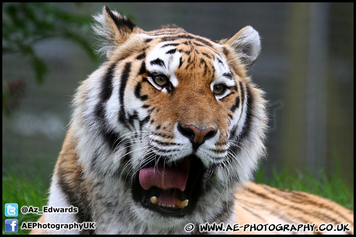 Marwell_Zoo_100912_AE_047.jpg