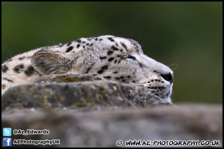 Marwell_Zoo_100912_AE_064.jpg