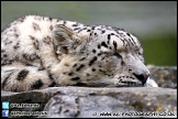 Marwell_Zoo_100912_AE_004