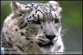 Marwell_Zoo_100912_AE_005