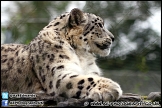 Marwell_Zoo_100912_AE_006