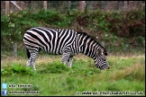 Marwell_Zoo_100912_AE_027