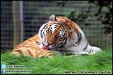 Marwell_Zoo_100912_AE_030