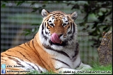 Marwell_Zoo_100912_AE_031