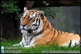 Marwell_Zoo_100912_AE_044