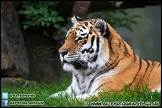 Marwell_Zoo_100912_AE_045