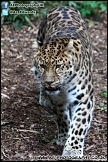 Marwell_Zoo_100912_AE_055