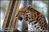 Marwell_Zoo_100912_AE_060