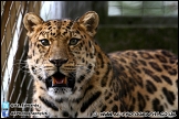 Marwell_Zoo_100912_AE_061