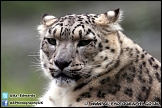 Marwell_Zoo_100912_AE_065