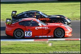 BTCC_and_Support_Brands_Hatch_101010_AE_088