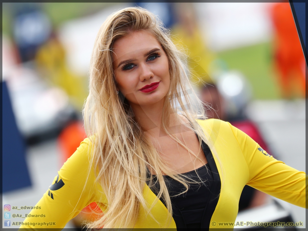 DTM_Brands_Hatch_11-08-2019_AE_205.jpg