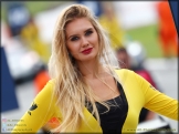 DTM_Brands_Hatch_11-08-2019_AE_205