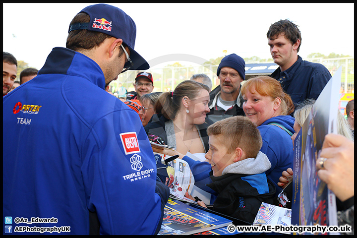 BTCC_Brands_Hatch_11-10-15_AE_006.jpg