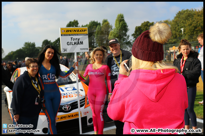 BTCC_Brands_Hatch_11-10-15_AE_055.jpg