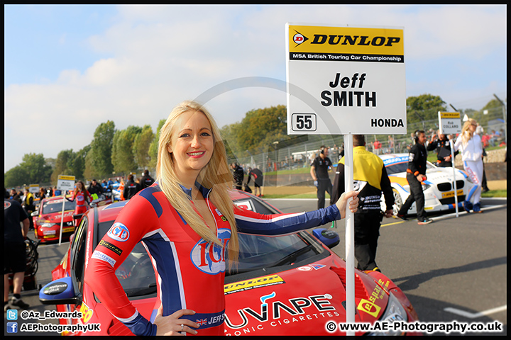 BTCC_Brands_Hatch_11-10-15_AE_059.jpg