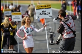 BTCC_Brands_Hatch_11-10-15_AE_042