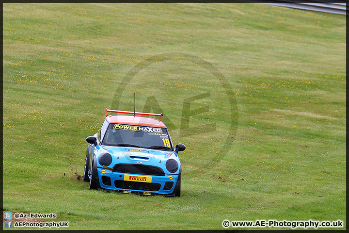 Mini_Festival_Brands_Hatch_110514_AE_008.jpg