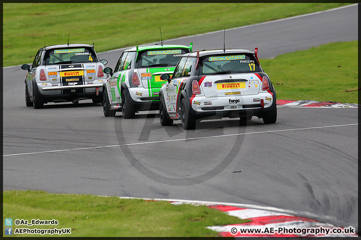 Mini_Festival_Brands_Hatch_110514_AE_018.jpg