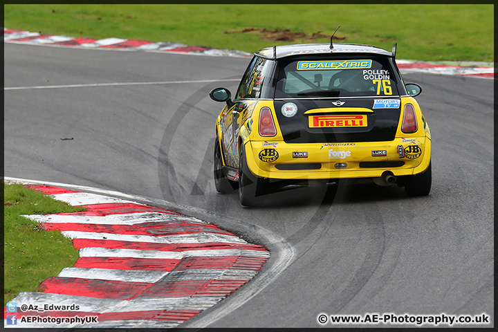 Mini_Festival_Brands_Hatch_110514_AE_019.jpg