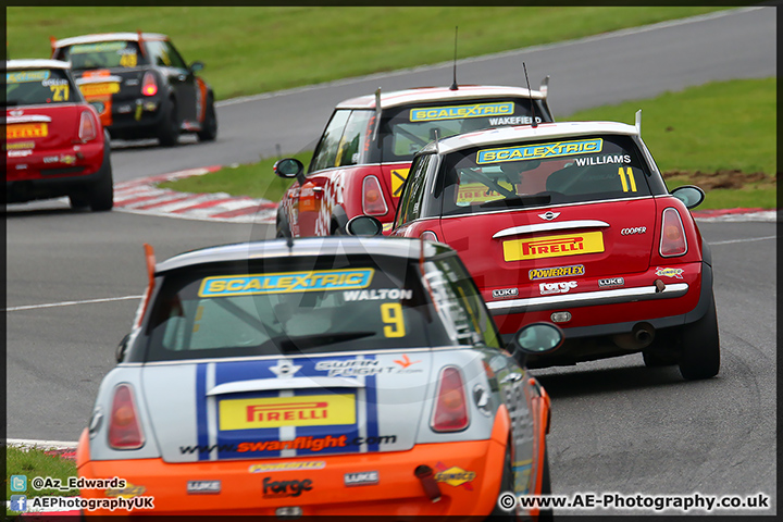 Mini_Festival_Brands_Hatch_110514_AE_021.jpg