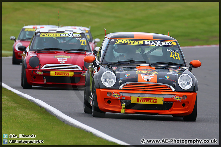 Mini_Festival_Brands_Hatch_110514_AE_024.jpg