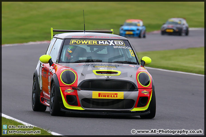 Mini_Festival_Brands_Hatch_110514_AE_026.jpg