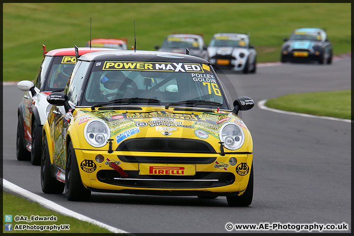 Mini_Festival_Brands_Hatch_110514_AE_027.jpg