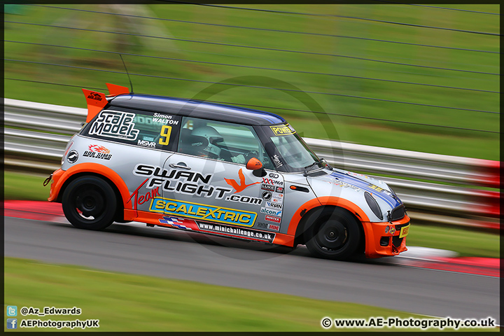 Mini_Festival_Brands_Hatch_110514_AE_035.jpg