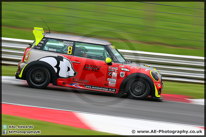 Mini_Festival_Brands_Hatch_110514_AE_036.jpg