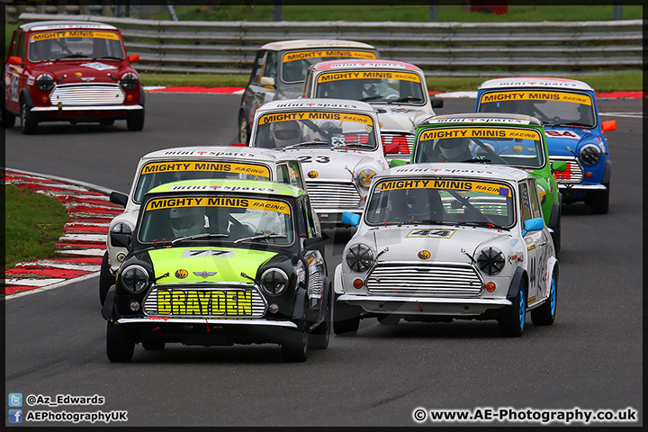 Mini_Festival_Brands_Hatch_110514_AE_041.jpg
