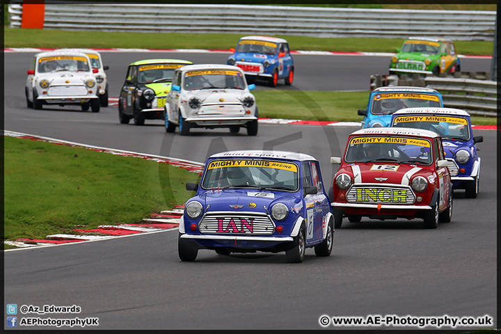 Mini_Festival_Brands_Hatch_110514_AE_043.jpg