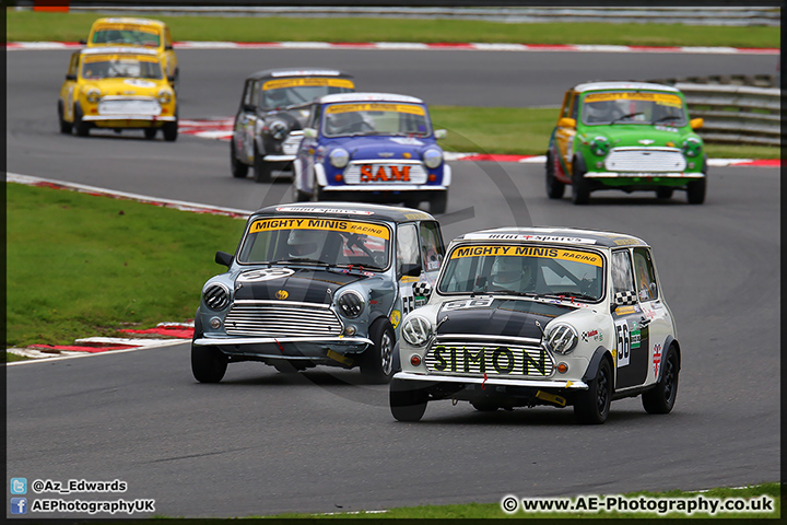 Mini_Festival_Brands_Hatch_110514_AE_044.jpg