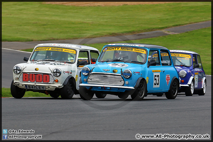 Mini_Festival_Brands_Hatch_110514_AE_047.jpg