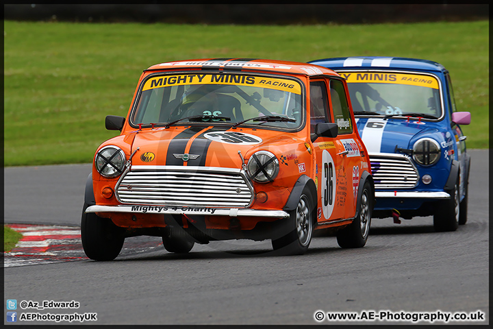 Mini_Festival_Brands_Hatch_110514_AE_050.jpg