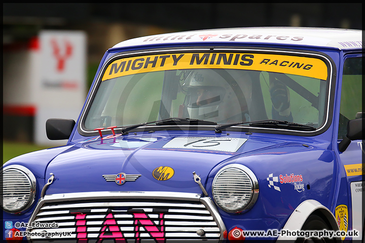 Mini_Festival_Brands_Hatch_110514_AE_054.jpg