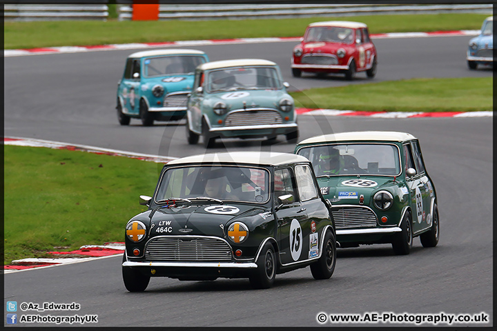 Mini_Festival_Brands_Hatch_110514_AE_057.jpg