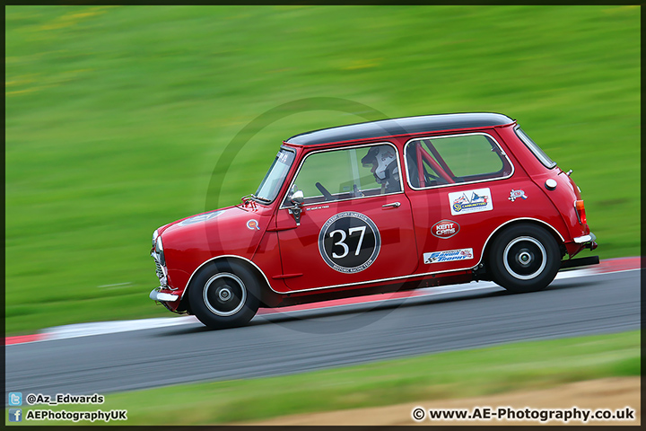 Mini_Festival_Brands_Hatch_110514_AE_062.jpg