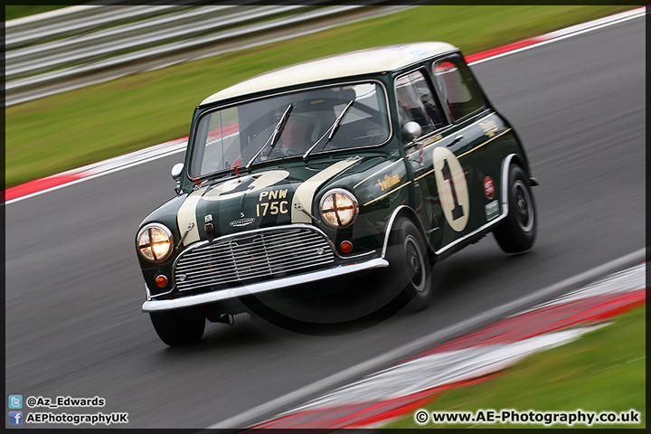 Mini_Festival_Brands_Hatch_110514_AE_065.jpg