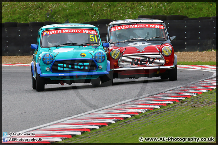 Mini_Festival_Brands_Hatch_110514_AE_073.jpg