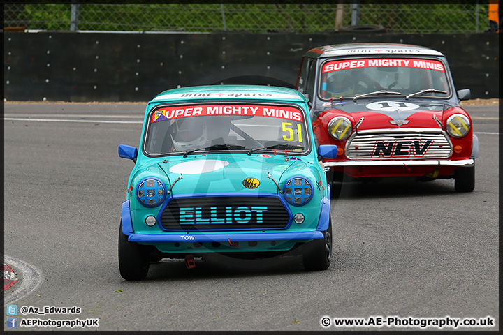 Mini_Festival_Brands_Hatch_110514_AE_075.jpg