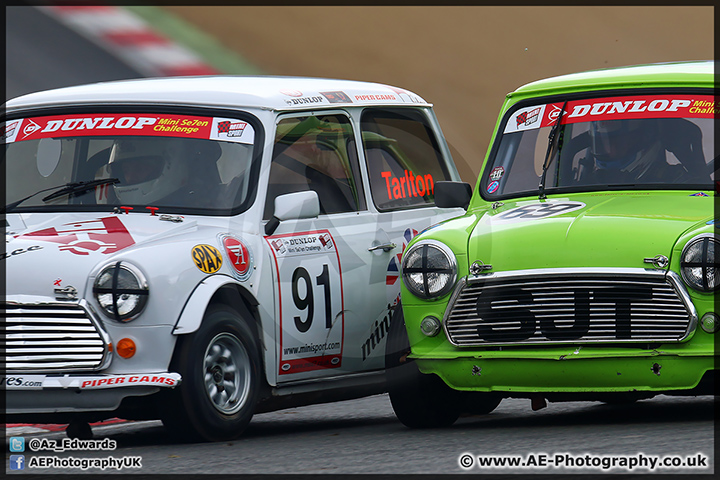 Mini_Festival_Brands_Hatch_110514_AE_080.jpg