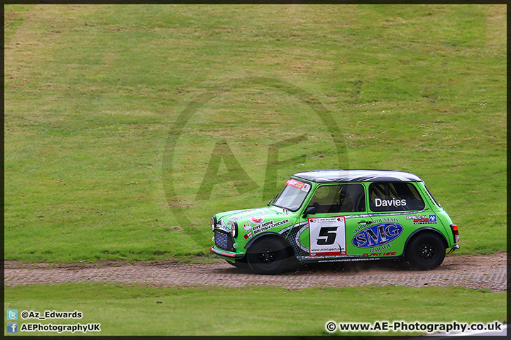 Mini_Festival_Brands_Hatch_110514_AE_084.jpg