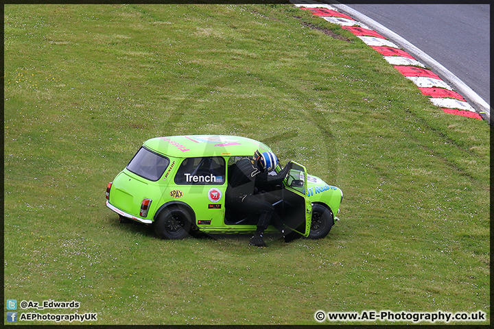 Mini_Festival_Brands_Hatch_110514_AE_087.jpg