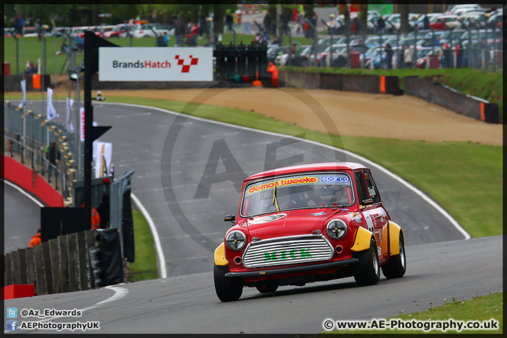 Mini_Festival_Brands_Hatch_110514_AE_093.jpg