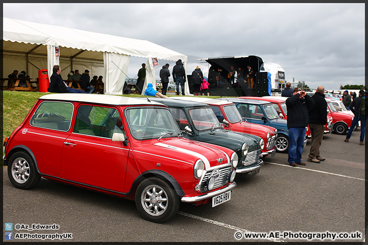 Mini_Festival_Brands_Hatch_110514_AE_099.jpg